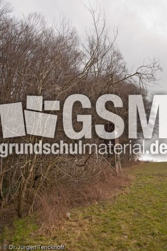 Hochstände (118 von 154).jpg